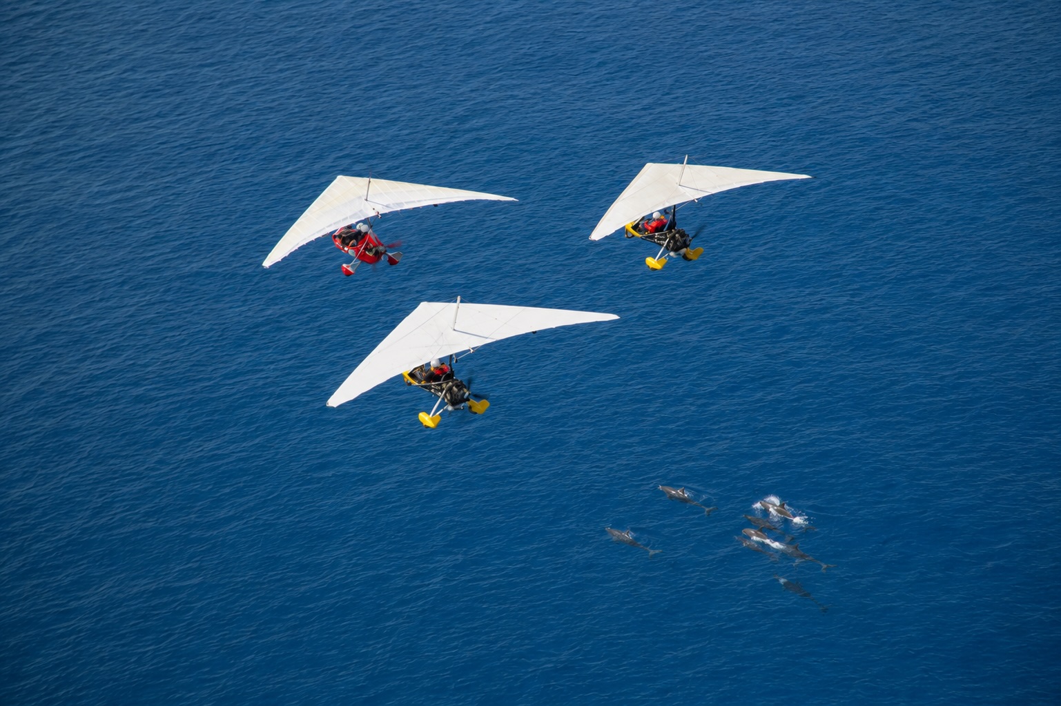 GoFly Hawaii powered hang gliding